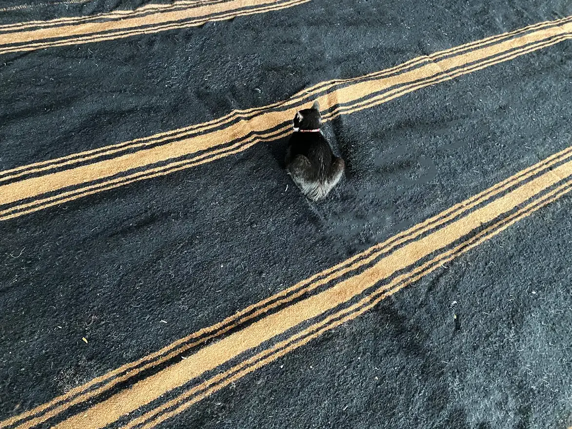 Physical Presentation & Selection